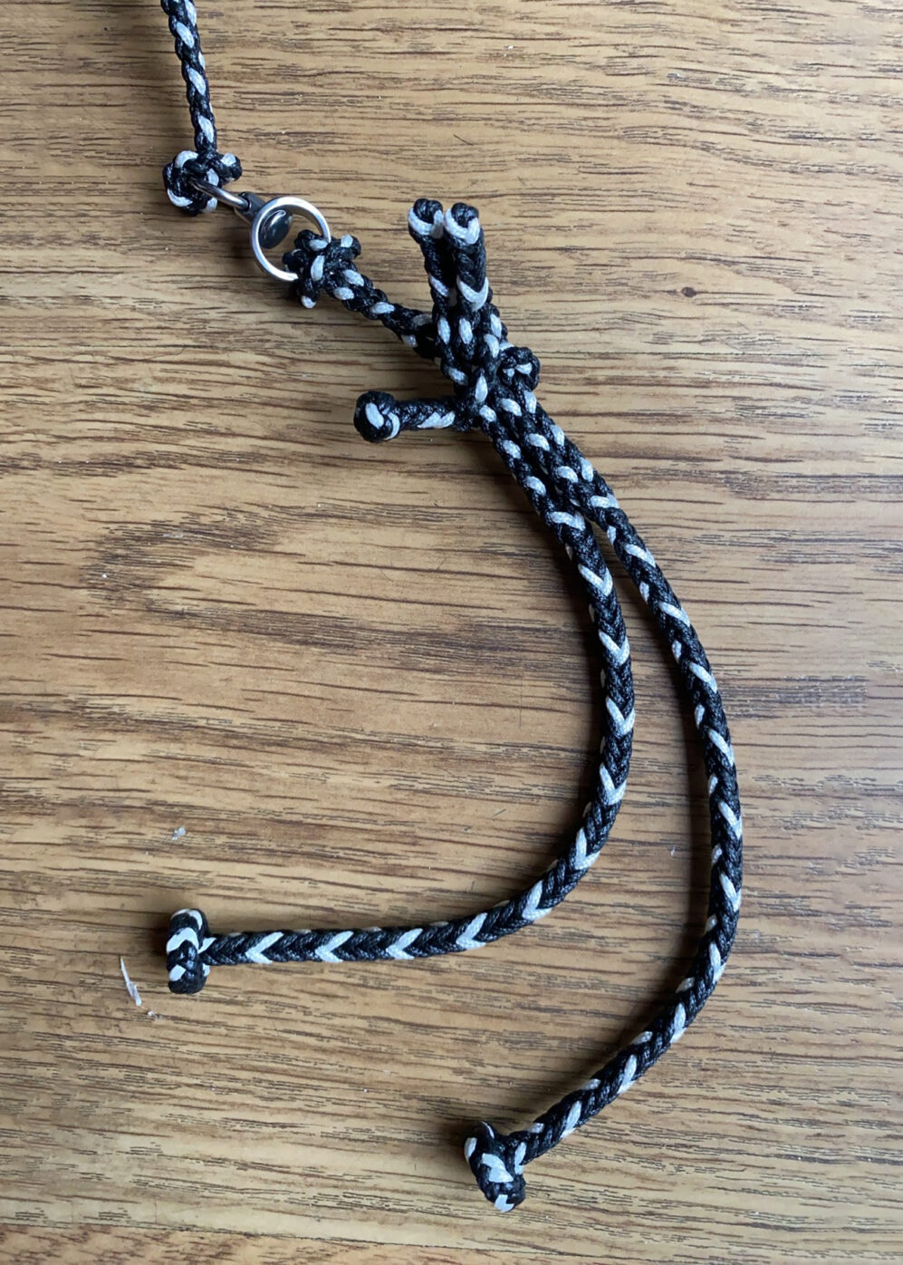 Eight Strand Round braided Loop Leash with Swivel for Falconry Ready to Use